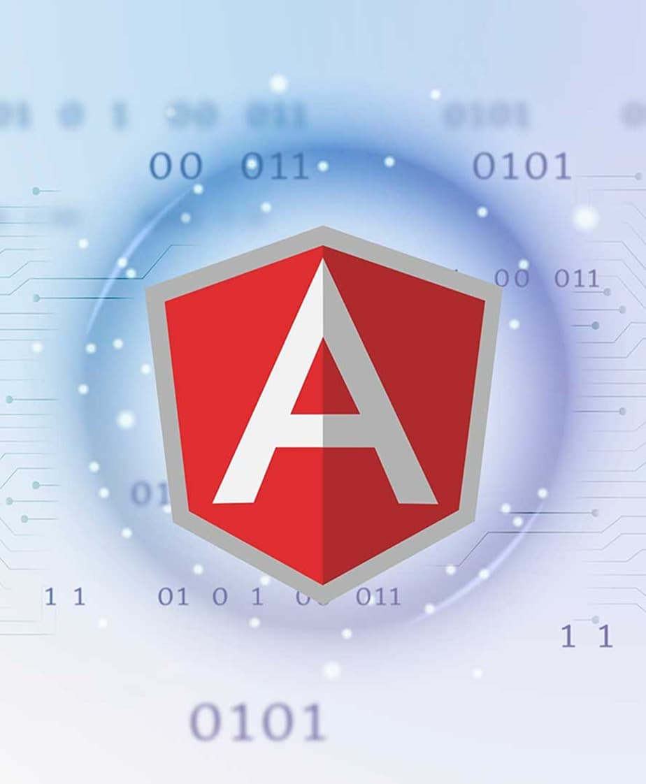 AngularJS Development